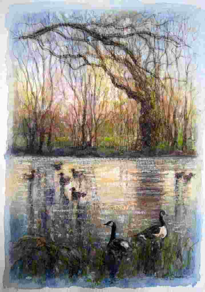 Dusk at Broadwater Lake